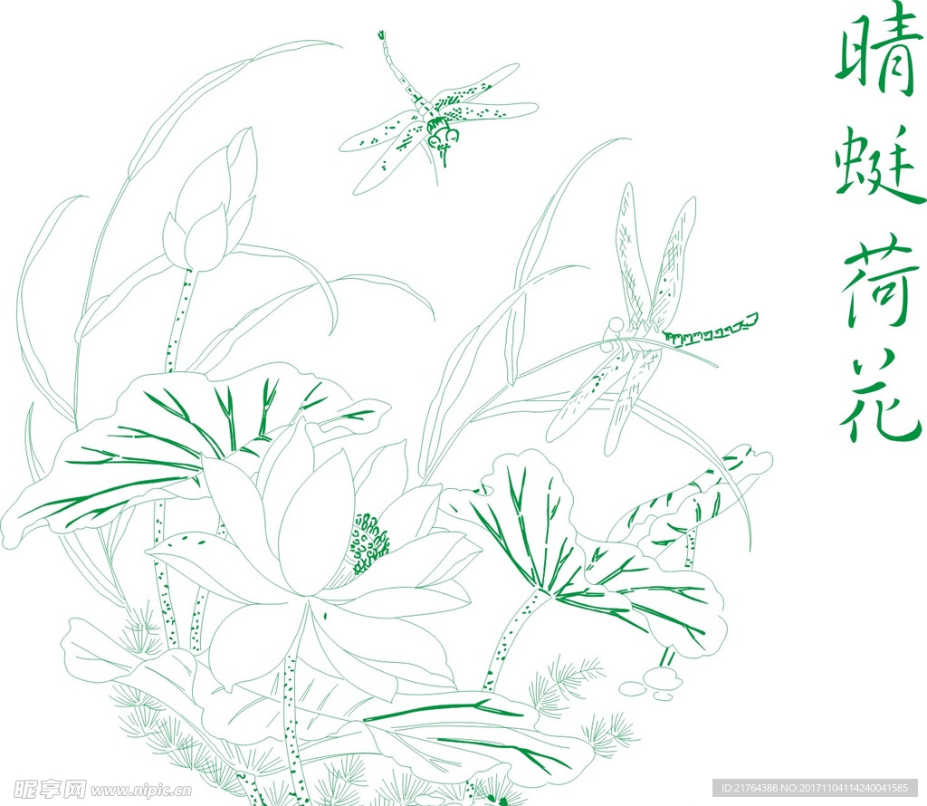 荷花