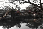 网狮园
