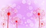蒲公英