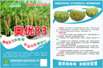 奥优