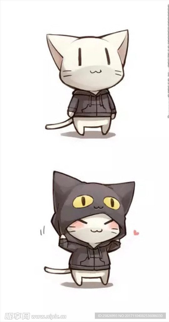 韩版 可爱小猫 萌系