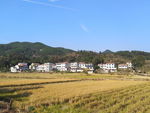 花河边