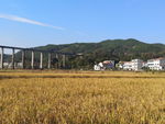 渡槽
