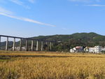 渡槽