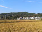 田园风光