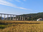 田园风光