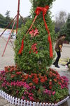 花艺