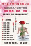 美容养生