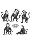 手绘猴子矢量图下载