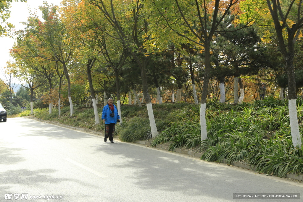 北宫彩叶风景