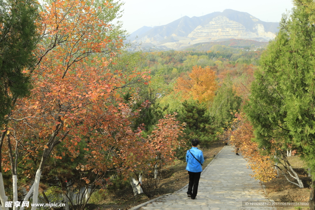 北宫彩叶风景