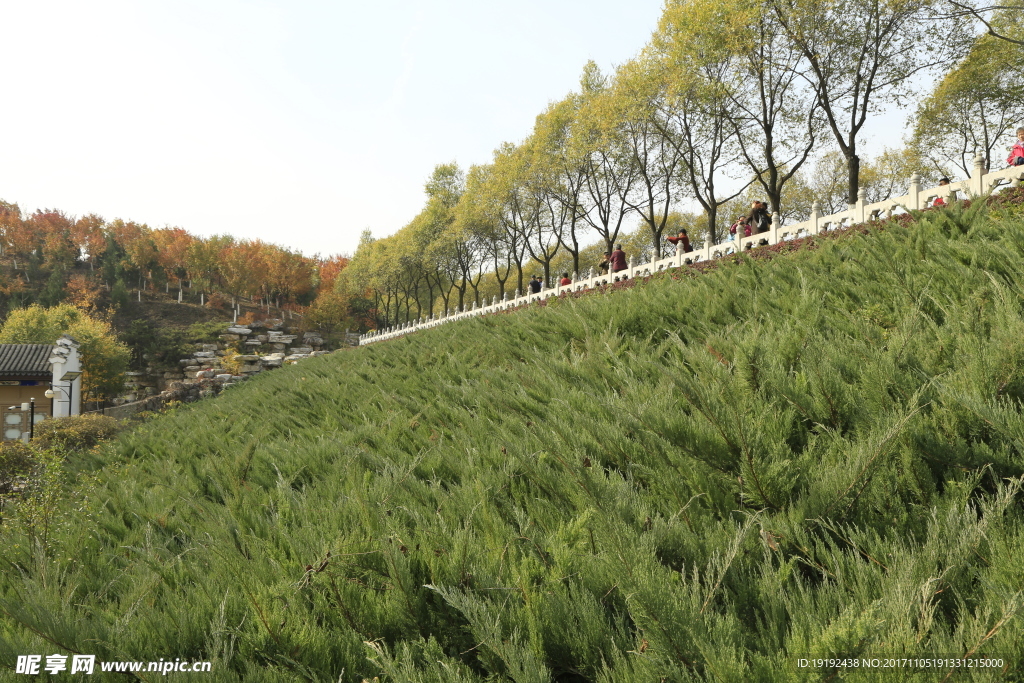 北宫彩叶风景