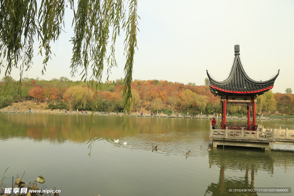 北宫彩叶风景