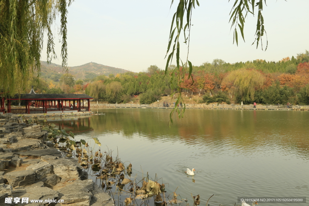 北宫彩叶风景