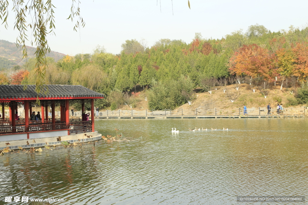 北宫彩叶风景