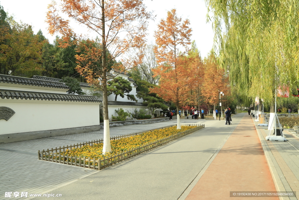 北宫彩叶风景