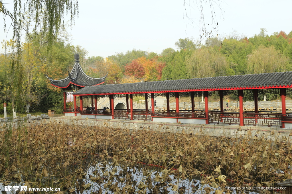 北宫彩叶风景