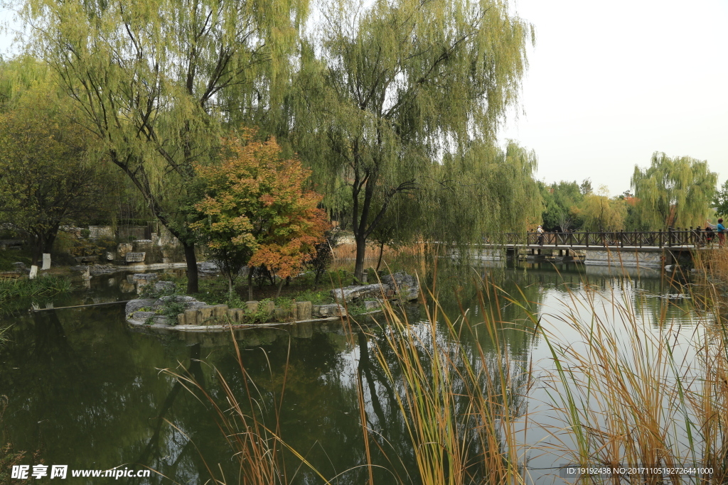 北宫彩叶风景