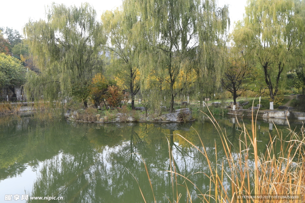 北宫彩叶风景