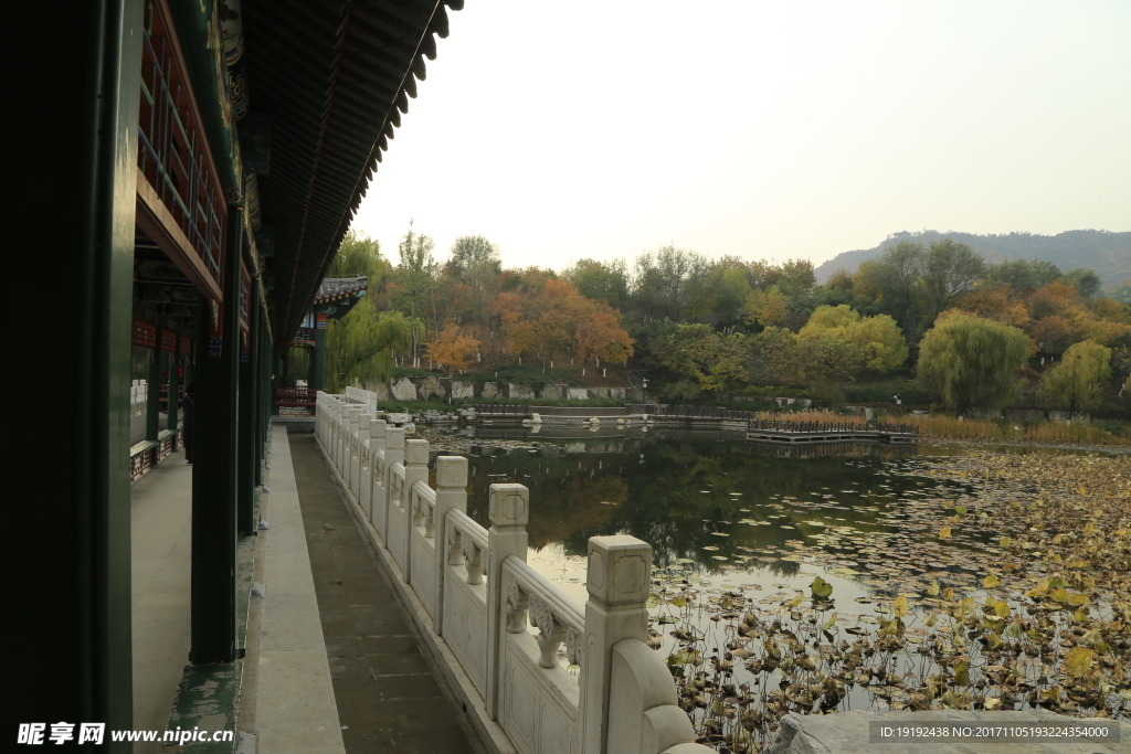 北宫彩叶风景