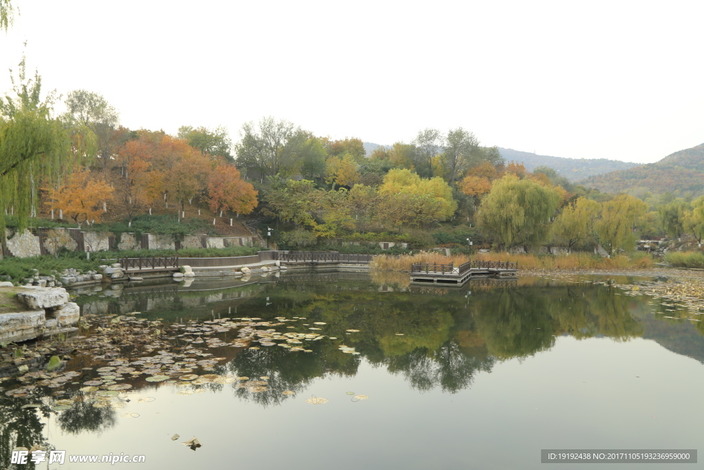 北宫彩叶风景