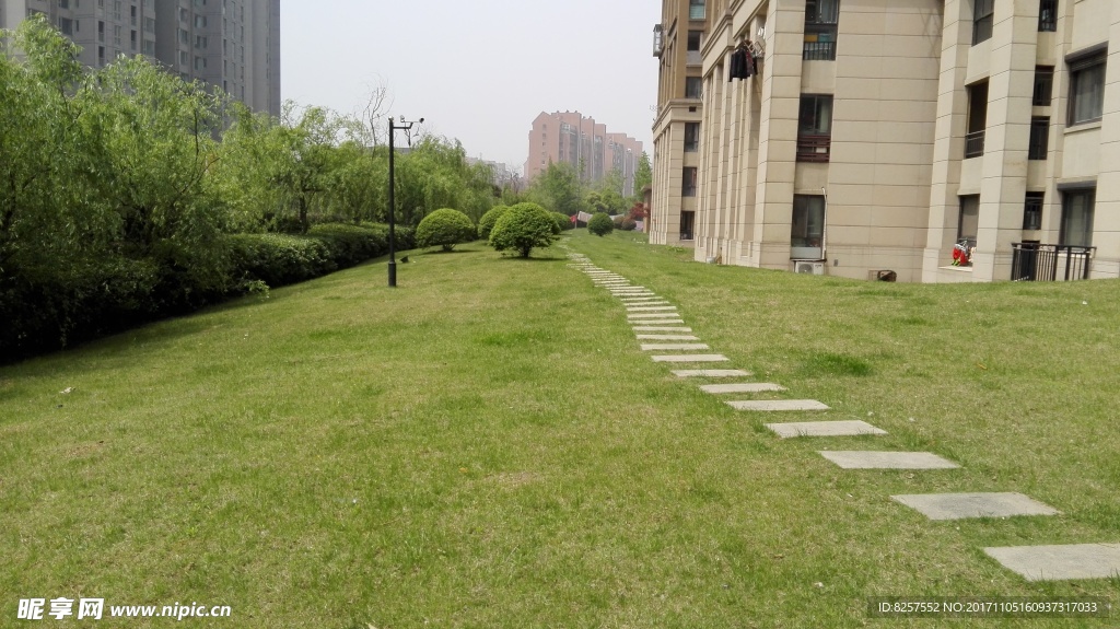 草坪草地