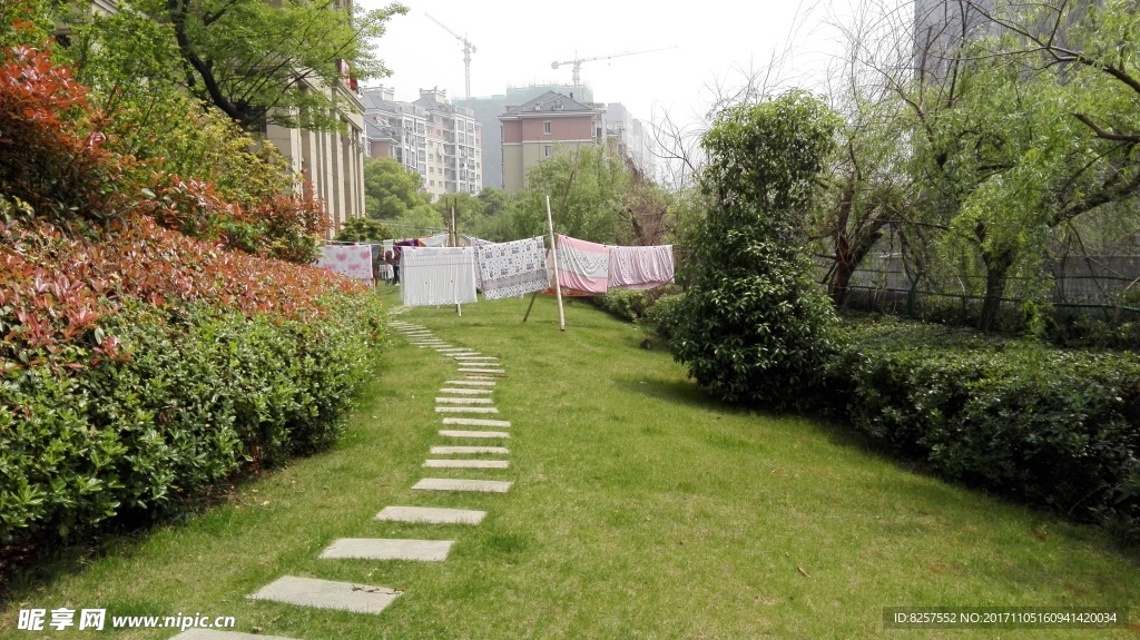 小区草坪