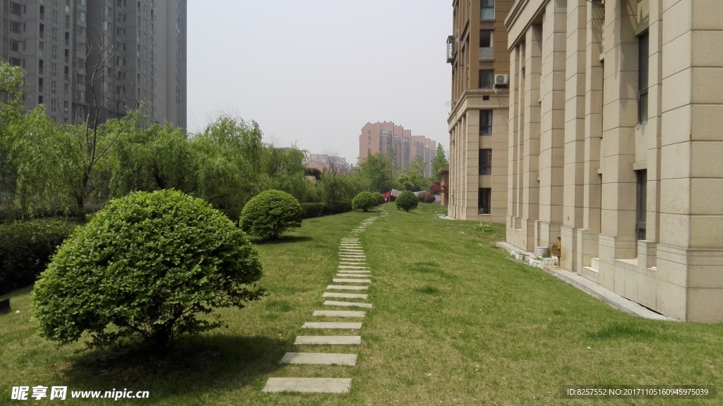 小区楼下的草坪