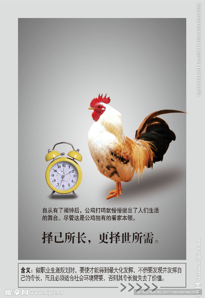 校园文化