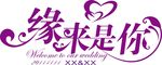 缘来是你