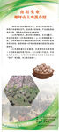 土鸡蛋招牌展架图