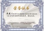 演唱会荣誉证书