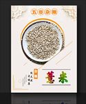 五谷杂粮 薏米