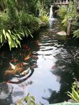 小河