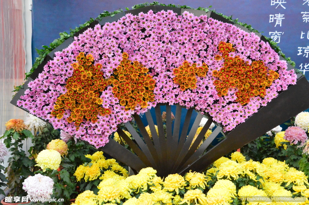 菊花