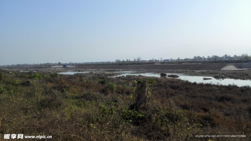 河道风景