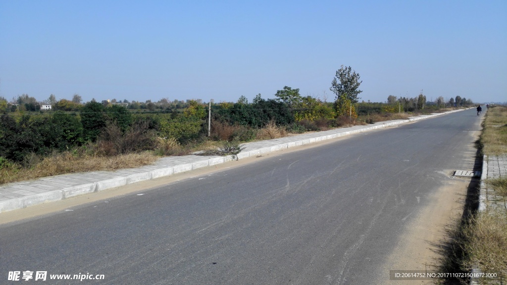 乡村道路风光