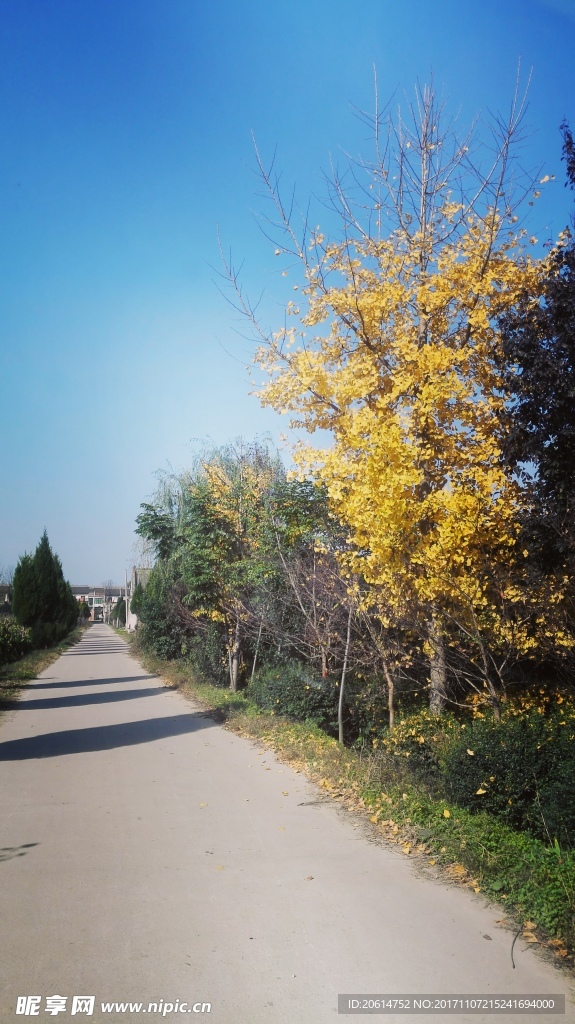 乡间的小路