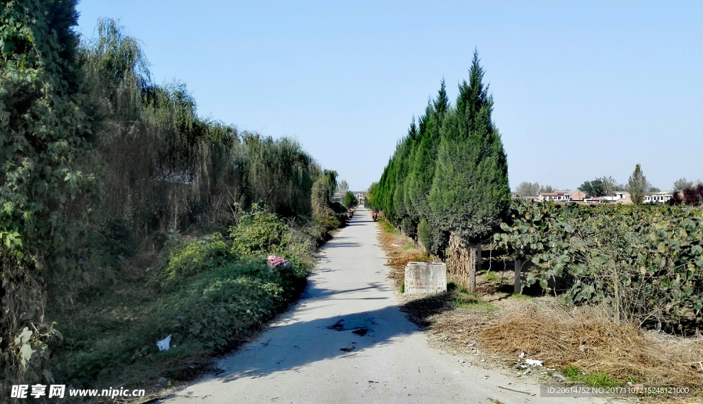 乡间道路