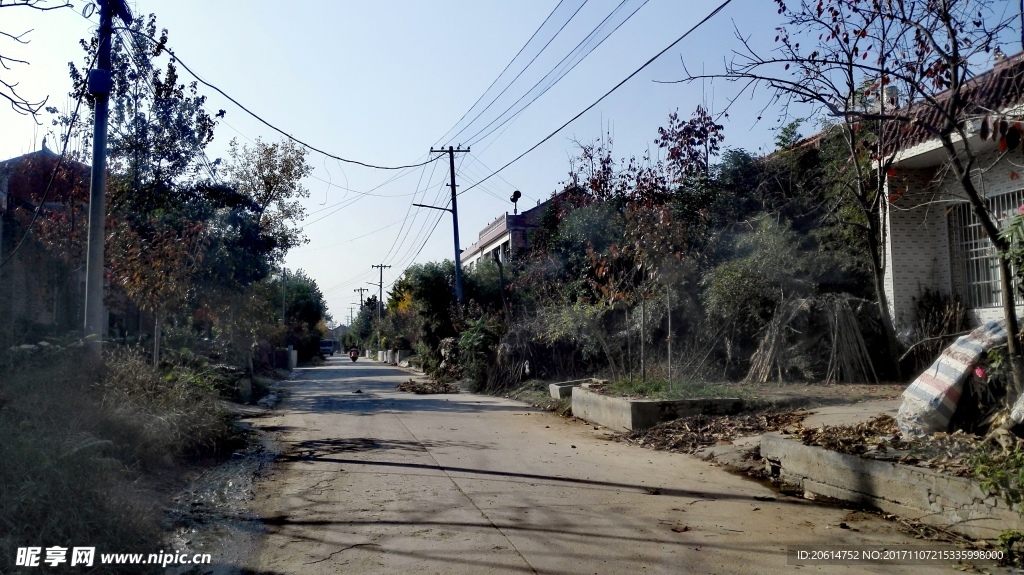 乡村道路风光