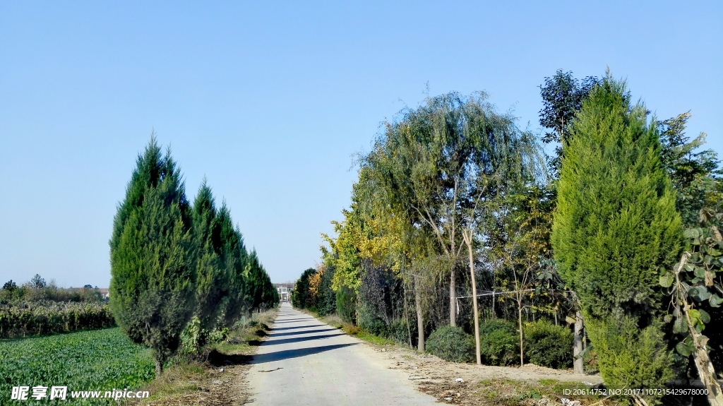 乡村道路风光