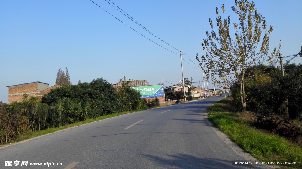 乡村道路风光