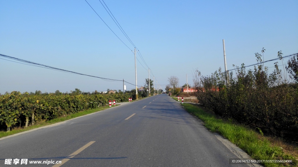 乡村道路风光