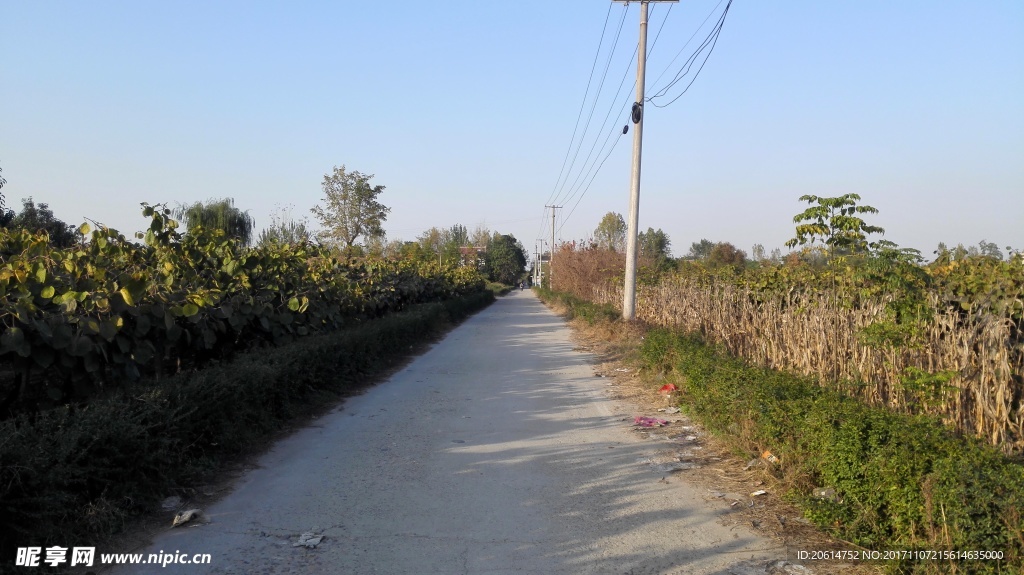 夕阳下的道路风景