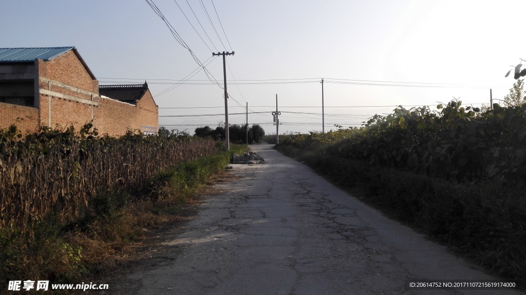 夕阳下的道路风景