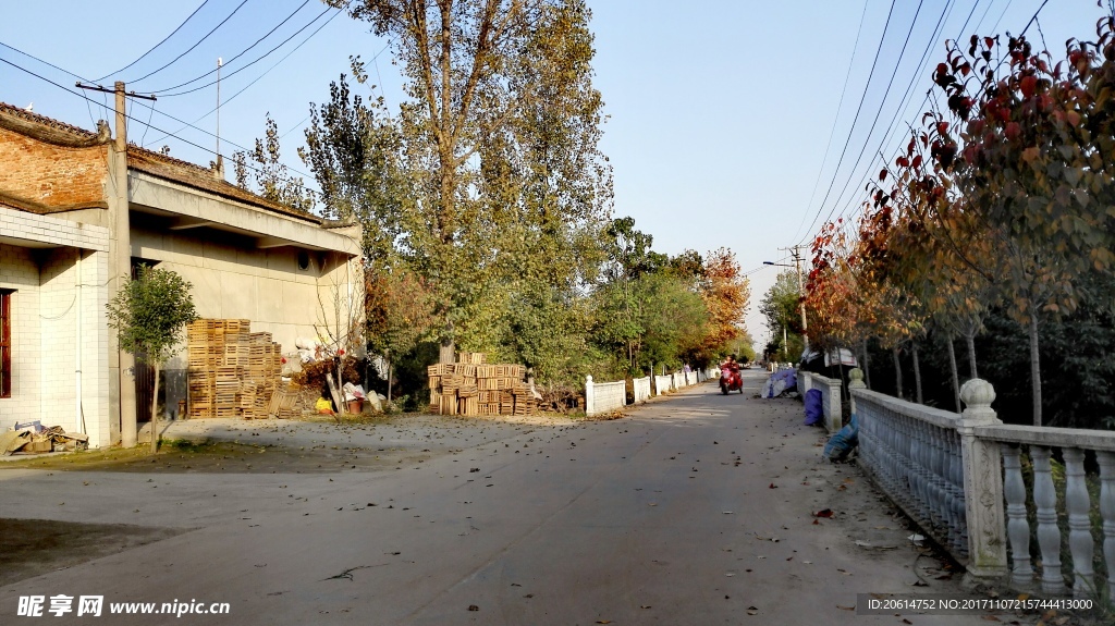 乡村道路风景
