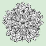 花纹