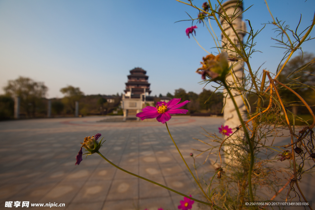 花明楼