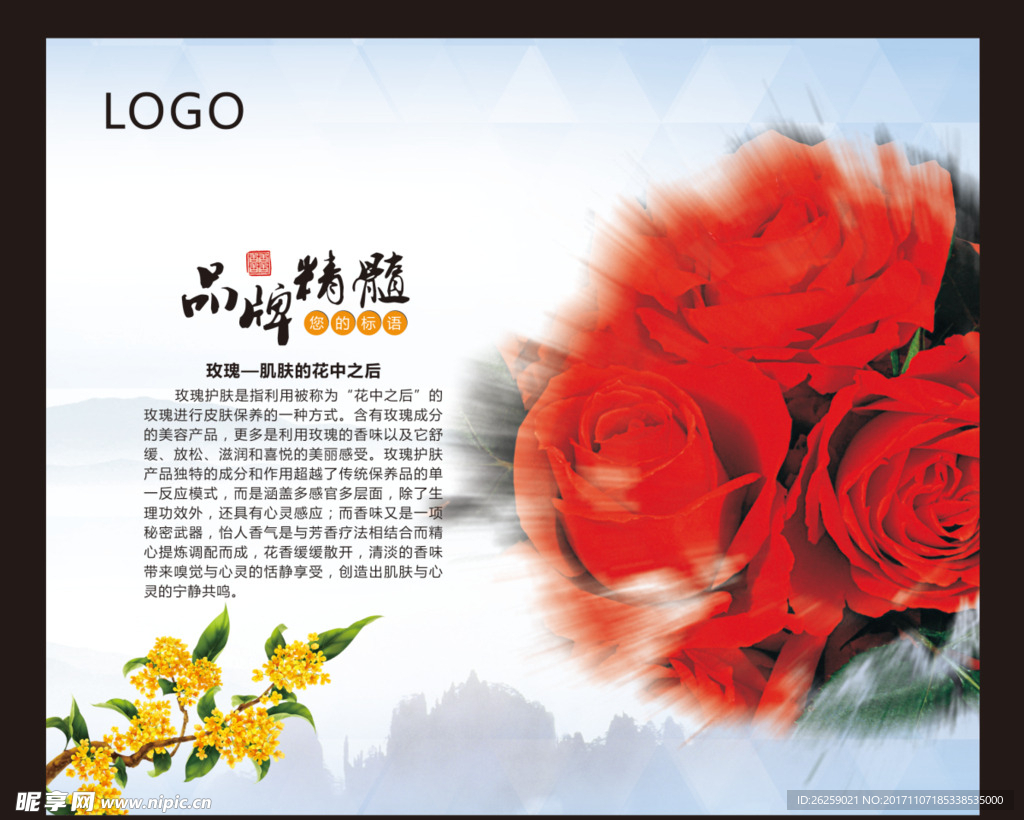 玫瑰