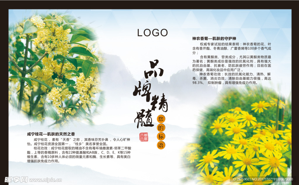 桂花菊花